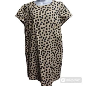 Women's J. Crew beige with black polkadots mini dress size 12 gently used